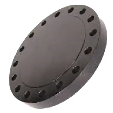 A105 1500# Blind Flanges